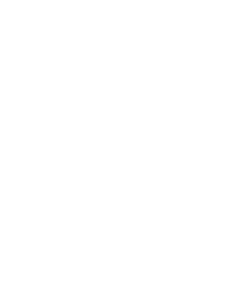 The Dubai Life